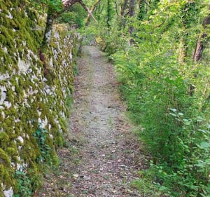 Promenade autour de Angles, l'Anglin - Angles-sur-l'Anglin - 2