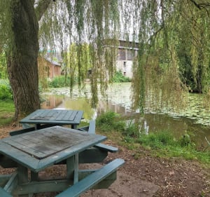 Balade à Vitré entre château et nature - Vitré - 2