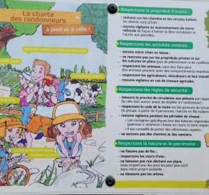 Boucle "De Maine en vignes"   Saint-Lumine de Clisson - Tof - 3