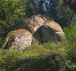 Boucle de St-Laurent-sur-Sèvre par St-Malô-sur-Bois - Saint-Laurent-sur-Sèvre - 2