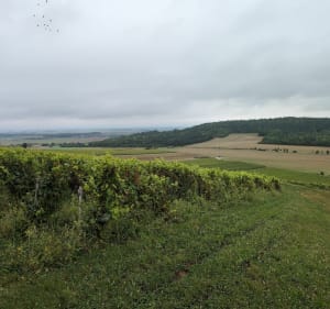Randonnée Montgueux-Mesnil Vallon-Macey - Montgueux - 2