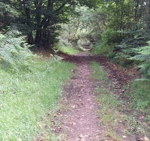 Au départ du Mauny - Les Monts d'Aunay - 2