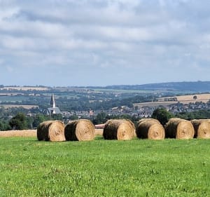 La grimpette de Roucamps - Les Monts d'Aunay - 2