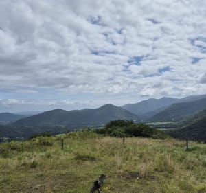 Mont Calem depuis Moncaup - Moncaup - 2