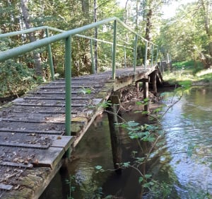 Circuit de la Roche à Ménétréol sur Sauldre - Ménétréol-sur-Sauldre - 2