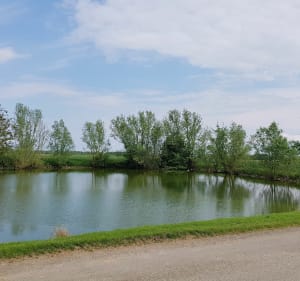 Balade au gré du vent. - Franck - 2