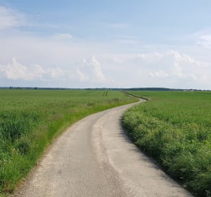 Balade au gré du vent. - Thimert-Gâtelles - 2