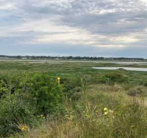 Découverte des marais et de la baie de la canche - Camiers - 3