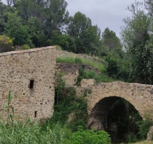 Balade entre Neffiès et le Faïgaras - Agnès - 4