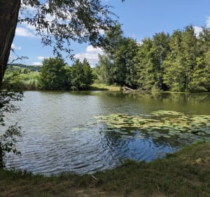 Châteauneuf de Galaure près de la rivière - aurelie - 3