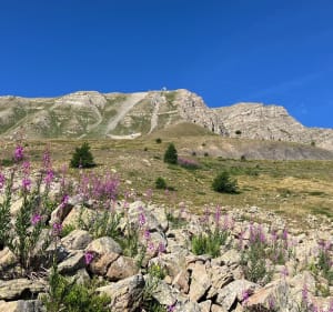 Tour des hauteurs de Vars par le sentier des marmottes - Vars - 3