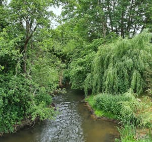 Balade autour de Saint-Martin-de-Nigelles - anne - 4