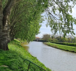 Le long des canaux epuis Bergues - Bergues - 3