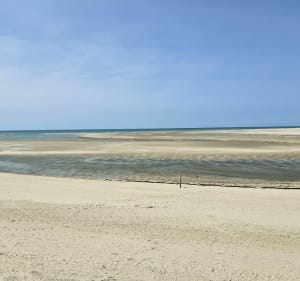 Ile et plage du bout du monde - Bricqueville-sur-Mer - 2