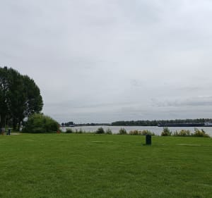 Dordrecht en omstreken - Dordrecht - 2