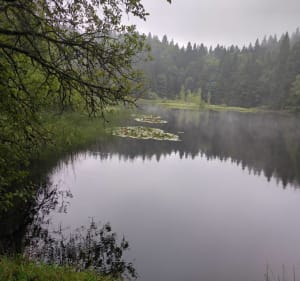Randonnée de la Grosse Pierre et Pré Thia - La Bresse - 2