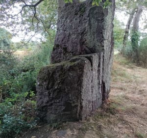 Sur les traces de Merlin, à Saint-Malon-sur-Mel - Saint-Malon-sur-Mel - 2