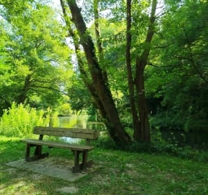 Balade au bord de l'eau à Bouvaincourt sur Bresle - Bouvaincourt-sur-Bresle - 2
