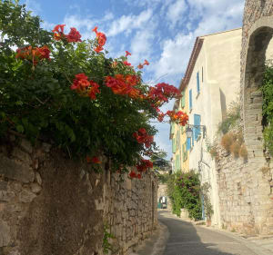 Colline et centre ville - Hyères - 2