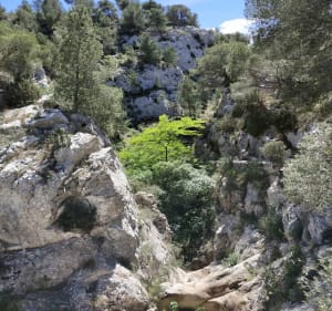 La Goutine et la chapelle Notre-Dame des Auzils - Gruissan - 3
