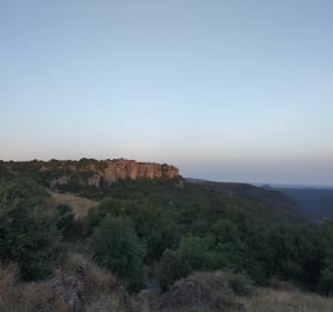 Sortie en forêt d'Escandorgue - Valerie - 2