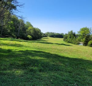 Le long des berges du Madon - Ceintrey - 2