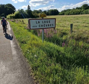 Tour du lac et dans la forêt d'Orient - La Villeneuve-au-Chêne - 2