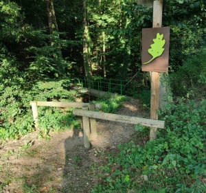 Découverte de la Forêt Ardéchoise. - Saint-Victor - 2