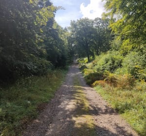 Boucle en forêt de Crécy - NICOLAS - 3