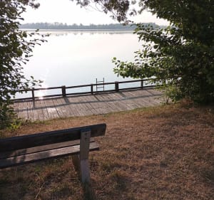 Balade au plan d'eau de Saint Nicolas de la Grave - Saint-Nicolas-de-la-Grave - 4