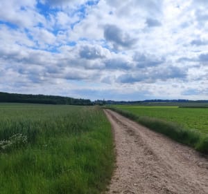 Boucle autour d'Arras - Jean Paul - 3