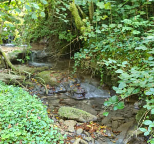 Bonbois - Haute Pisse-Vache - Sonthonnax-la-Montagne - 2