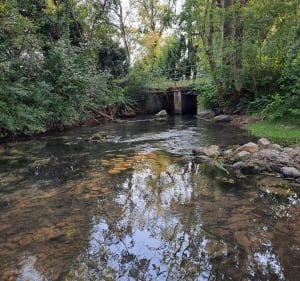 De la rivière d'Ain au Lac bleu - Châtillon-la-Palud - 4