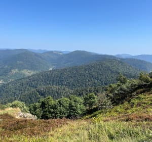 Circuit des deux ballons, Servance et d’Alsace - Saint-Maurice-sur-Moselle - 3