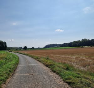 Entre le canal de la Sensée et le canal du Nord - Aubigny-au-Bac - 2