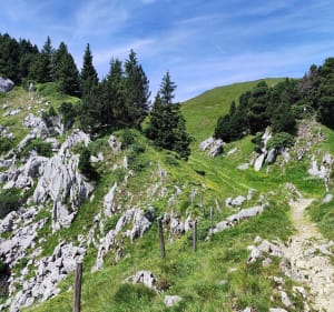 Col de l'Alpe vanaf Sainte Marie du Mont - Sainte-Marie-du-Mont - 2
