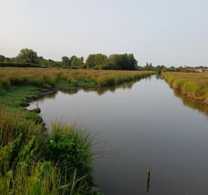 Autour de Sainte-Reine-de-Bretagne, par la Vallée - Marie josee - 2