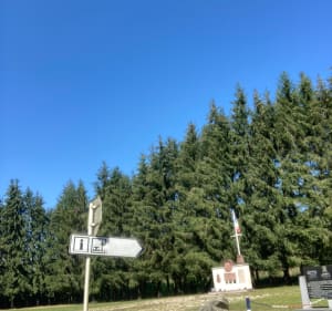 Des étangs à la source de la Suarcine - Suarce - 4