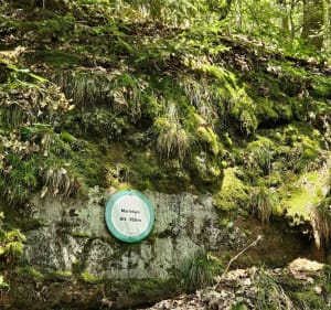 Boucle Lemberg Bitche Lemberg via tombe russe - Lemberg - 2