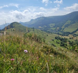 Circuit des sources de L'Auze au Col de Néronne - Saint-Paul-de-Salers - 5