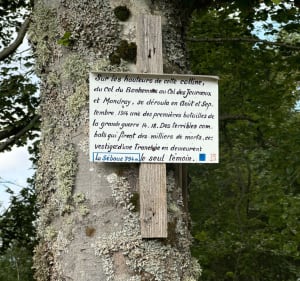 Route et paysage autour de Saint-Dié-des-Vosges - Saint-Dié-des-Vosges - 2
