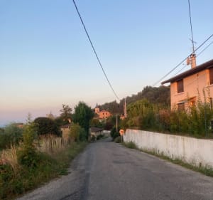 Entre plaine et forêt au départ de Faramans - Faramans - 2