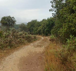 Sortie pour découvrir Châteauneuf du Rhône - Châteauneuf-du-Rhône - 2