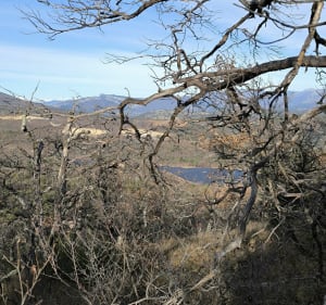 Sentier panoramique du vigile à Peyruis - Peyruis - 2
