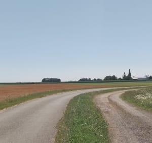 Balade entre Sougy et Poupry - OLIVIER - 4