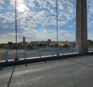 Des figuiers au centre historique de Rivesaltes - nicolas - 2
