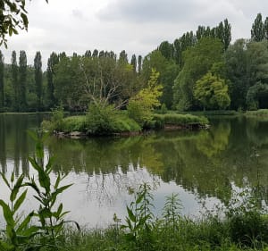 En Hurepoix, découverte du Parc du Colombier et environs - mf - 3