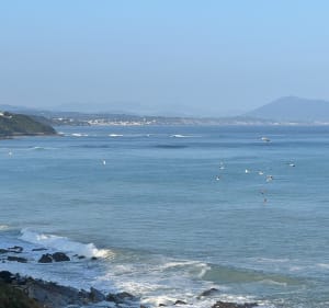 Bidart, Uhabia, village et plages - Bidart - 2