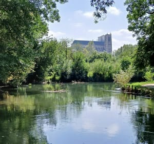 Marais de Bourges - Bourges - 2