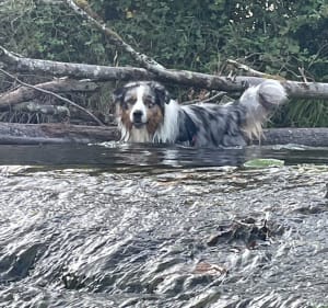 Bala de à Froideterre - Jimmy - 3